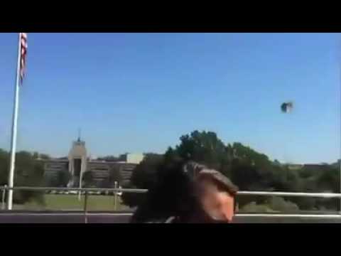 Youtube: Vogel fliegt gegen die Scheibe