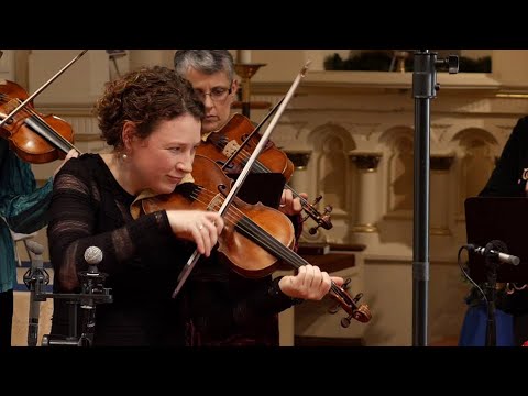 Youtube: Vivaldi Four Seasons: Winter (L'Inverno), original version. Freivogel & Voices of Music  RV 297 4K