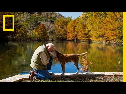 Youtube: 50 Years Ago, This Was a Wasteland. He Changed Everything | Short Film Showcase