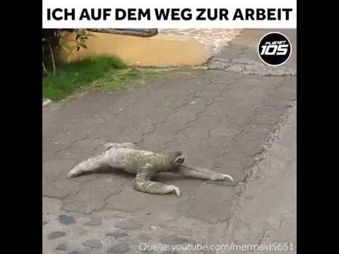 Youtube: 😂 Lustig "Montag morgen auf den Weg zur Arbeit" 2017 HD