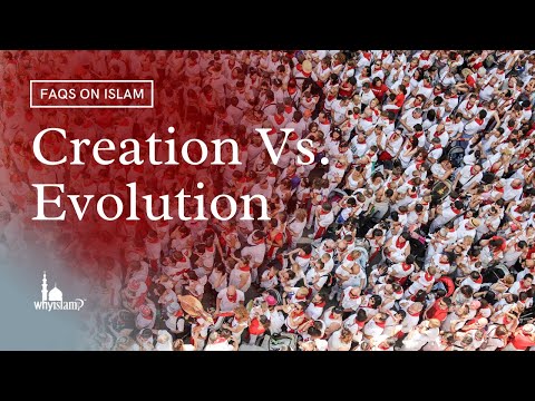 Youtube: Creation vs. Evolution