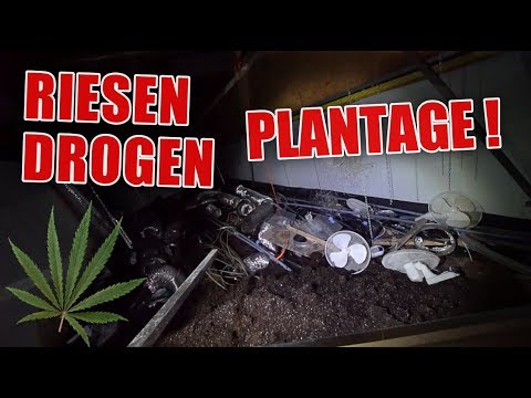 Youtube: LOSTPLACE : Drogen im großen Stil angebaut ! Wahnsinns Anlage ! | ItsMarvin