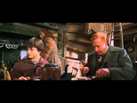 Youtube: Harry Potter and the Chamber of Secrets - Harry's first time at the Weasley's home (HD)