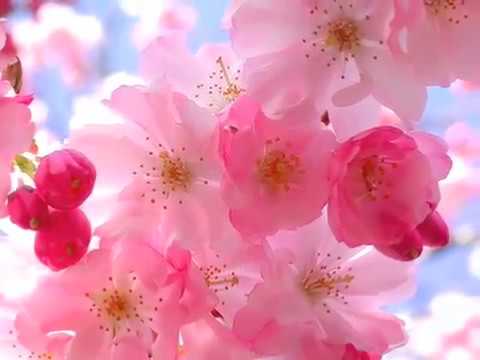 Youtube: Neivi Martinez & Olga Vogt -Lakme Flower Duet