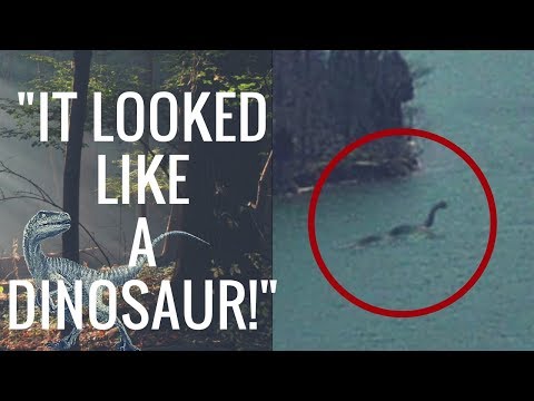 Youtube: True Dinosaur Sightings From Across The World!  (Did They Really Go Extinct?)