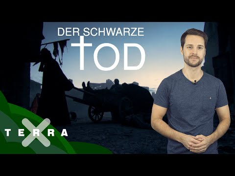 Youtube: Seuchen in Europa – die Pest im 14. Jahrhundert | Terra X