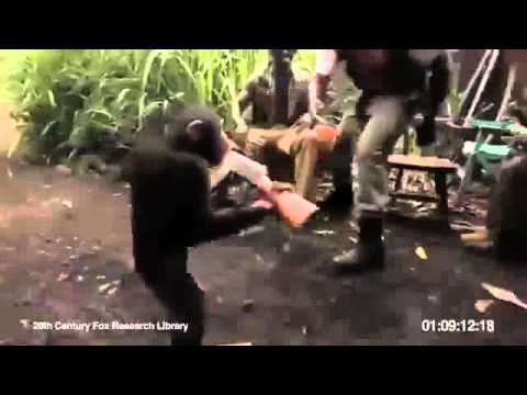 Youtube: Affe Schießt Auf Soldaten Mit einer AK-47