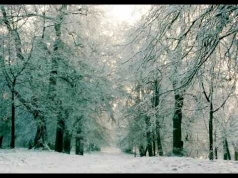 Youtube: Weisser Winterwald - gesungen von Ruth B.