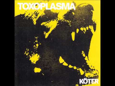 Youtube: Toxoplasma - Kontrollautomat