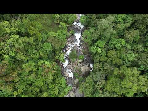 Youtube: Kris Kremers and Lisanne Froon : 1rst Monkey Bridge and the Culebra (Drone footage)