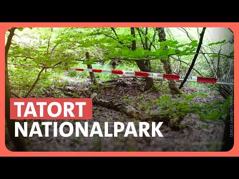 Youtube: Wer ist der Tote? Skelettfund im Nationalpark Hainich gibt Rätsel auf | Kripo live | MDR