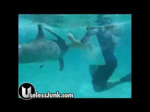 Youtube: Female human diver gets uncomfortably close to an aroused male dolphin