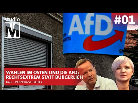 Youtube: Warum so viele die rechtsextreme AfD wählen - MONITOR - studioM