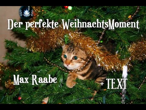 Youtube: Max Raabe - Der Perfekte Weihnachtsmoment 🎄 TEXT