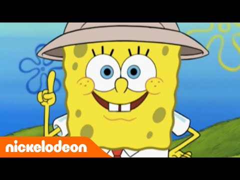 Youtube: SpongeBob Schwammkopf | Sicherheitstipps fürs Quallenfischen | Nickelodeon Deutschland