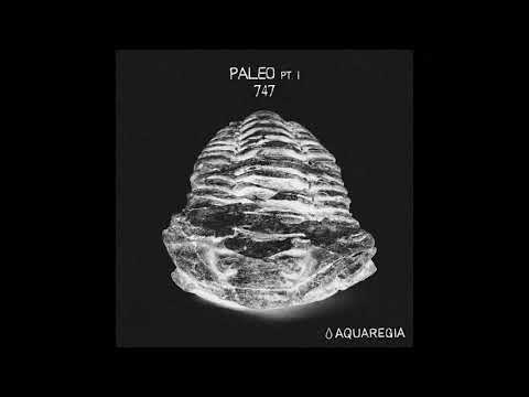 Youtube: 747 - Cambrian [AQR07]