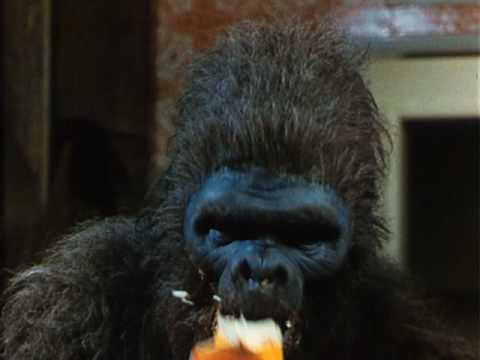 Youtube: SCHLOCK: DAS BANANENMONSTER (1973) - Deutscher Trailer