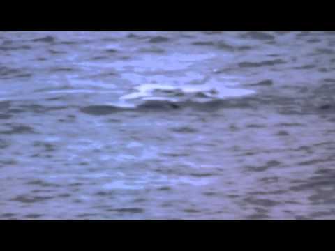 Youtube: Coast Guard video of plane crash landing in ocean