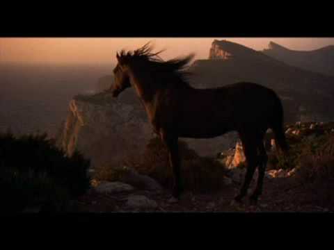 Youtube: Black Dream - Black Stallion Music Video