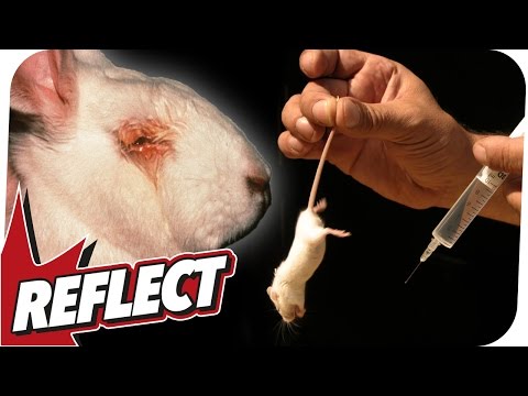 Youtube: Quälen oder forschen? Tierversuche - WGA REFLECT