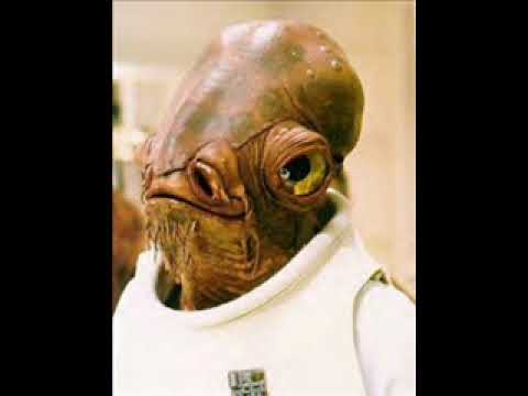 Youtube: Admiral Ackbar "It's A Trap!" (Techno Remix)