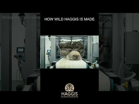 Youtube: Wie Wild Haggis hergestellt wird: Ein einzigartiges schottisches Verfahren #schottland #haggis #w...
