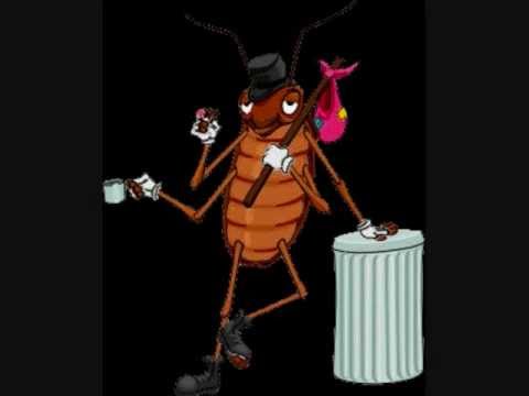 Youtube: La cucaracha - Gipsy Kings