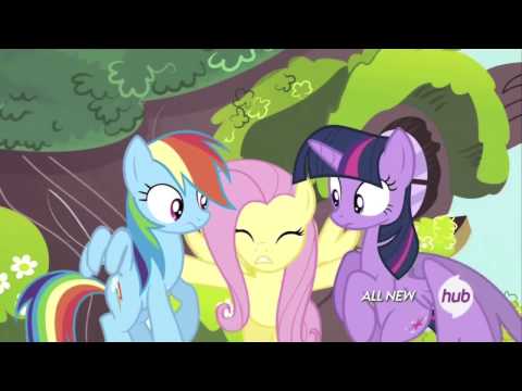 Youtube: Fluttershy - GIRLS. STOP!