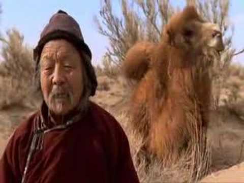 Youtube: Trailer - Die Geschichte vom weinenden Kamel