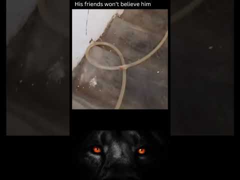 Youtube: Tolle Methode Fische zu fangen