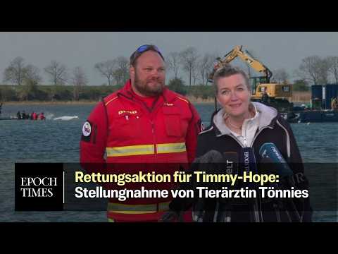 Youtube: Timmy-Hope soll eine Blutuntersuchung bekommen – Stellungnahme von Tierärztin Tönnies und DLRG