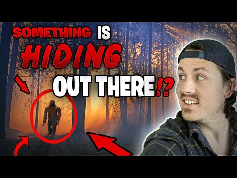 Youtube: 5 STRANGEST disappearances in forests | The Missing 411 phenomenon