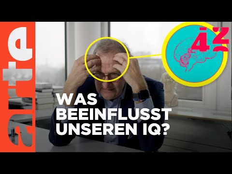 Youtube: Werden wir immer dümmer? | 42 - Die Antwort auf fast alles | ARTE