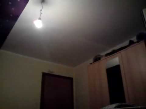 Youtube: Fledermaus im Zimmer