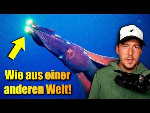 Youtube: Diese irre Kreatur besitzt ein GEHEIMNISVOLLES Organ...