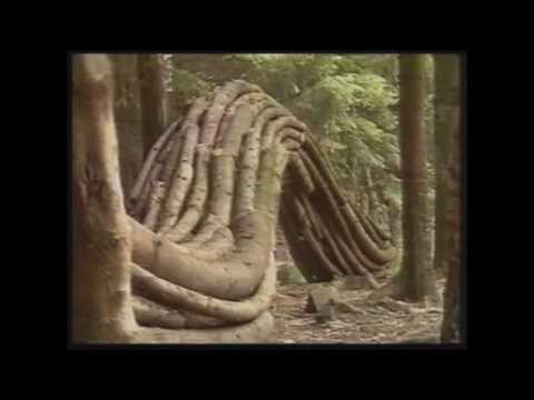 Youtube: Andy Goldsworthy Naturalist Artist - P1