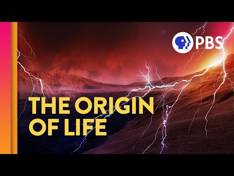 Youtube: Where Did Life Come From? (feat. PBS Space Time and Eons!)