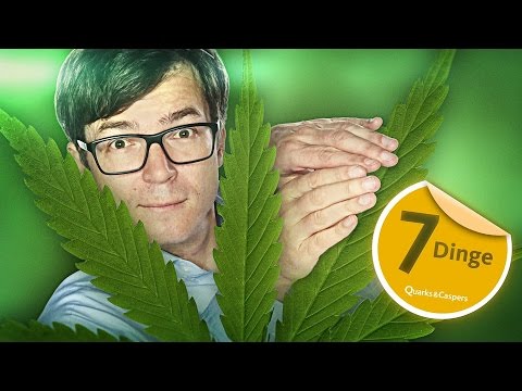 Youtube: Kiffen - 7 Dinge, die Sie wissen sollten! - Quarks & Caspers Cannabis Doku