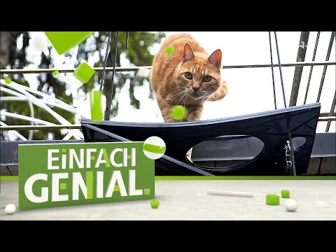 Youtube: Hoch hinaus mit der faltbaren Katzenleiter | Einfach genial | MDR