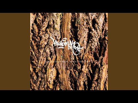 Youtube: Kreise schließen sich