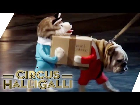 Youtube: Aushalten: Nicht lachen (Tag Team Edition) Vol. 2 - TEIL 4 | Circus Halligalli  | ProSieben