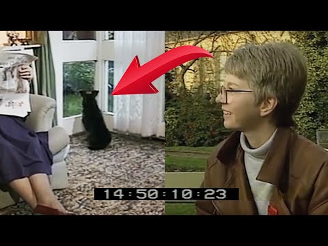 Youtube: Jaytee, a dog who knew when his owner was coming home: The ORF Experiment