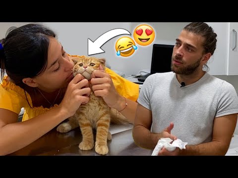Youtube: Yaramaz Kedi Yerinde Duramadı! 😂 ( Çook Sevimlii! 😍 ) @menalcicek