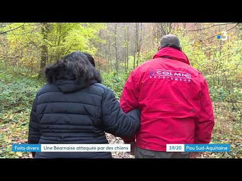 Youtube: Attaque mortelle de chiens sur une béarnaise à St Pierre Aigle, forêt de Retz