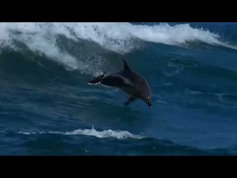 Youtube: Oxygene - The Ocean