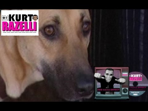 Youtube: HUNDEGACKE by Kurt Razelli