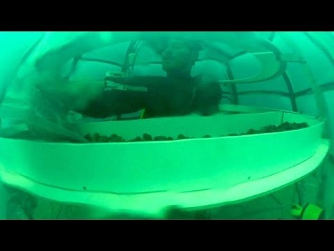 Youtube: Nemos Garten: Basilikum aus dem Mittelmeer