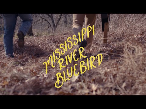 Youtube: Drew Holcomb & The Neighbors and Jonah Kagen - Mississippi River Bluebird (Official Music Video)