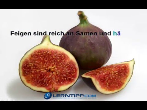 Youtube: Natur Apotheke Gottes oder was in Obst und Gemüse so drin steckt