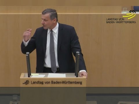 Youtube: Landtag Stuttgart: FDP-Fraktionschef Ulrich Rülke nimmt AfD auseinander